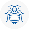 Bed Bug Extermination In Market Drayton