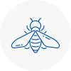 Bee Nest Removal Market Drayton