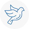 Bird Prevention Market Drayton