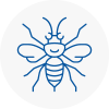 Market Drayton Hornet Nest Removals