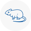 Rat Control Market Drayton