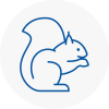 Market Drayton Rodent Removals